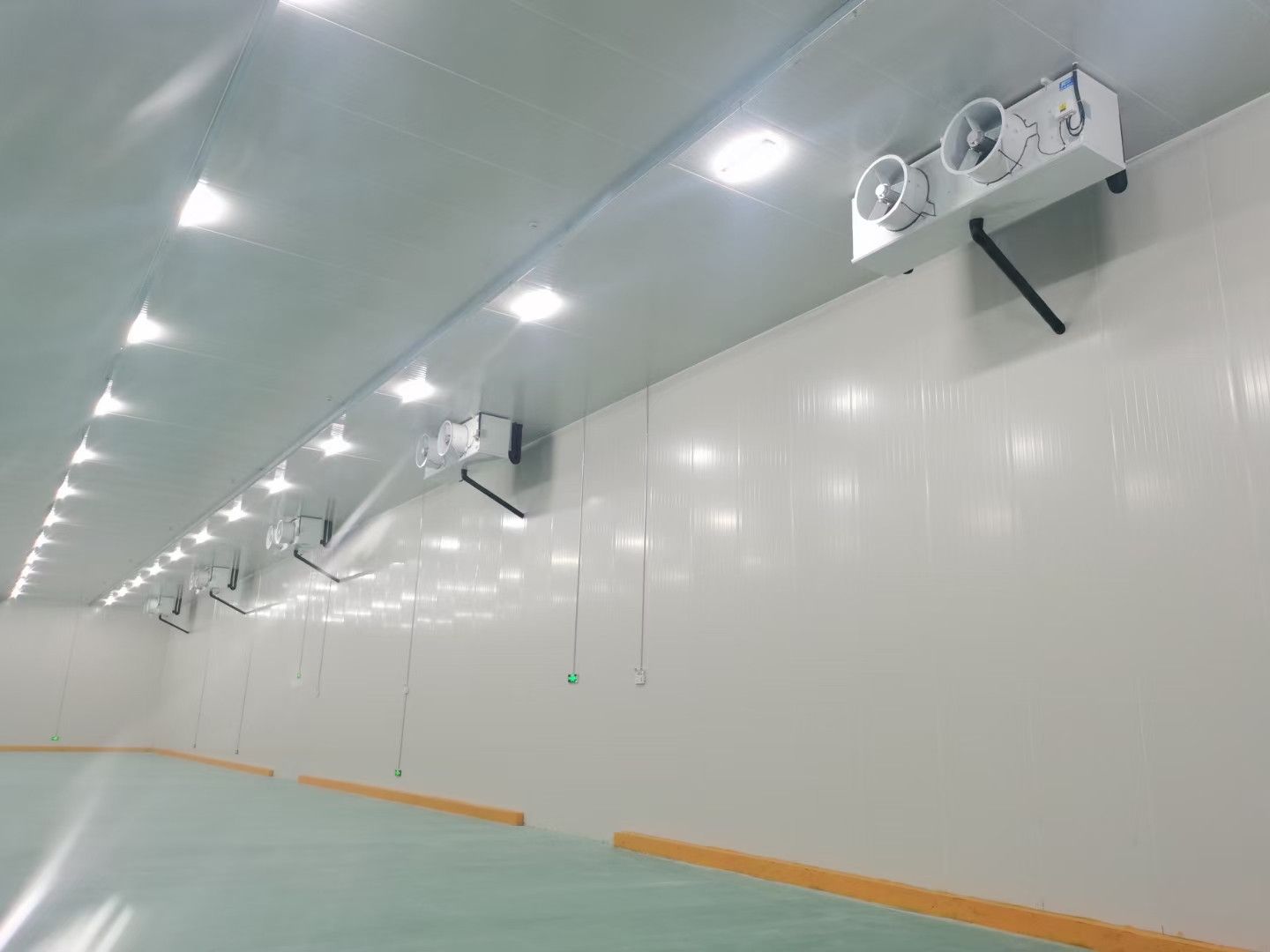 -15℃低溫食品冷凍庫造價多少錢一立方? -15℃低溫食品冷凍庫造價多少錢一立方?