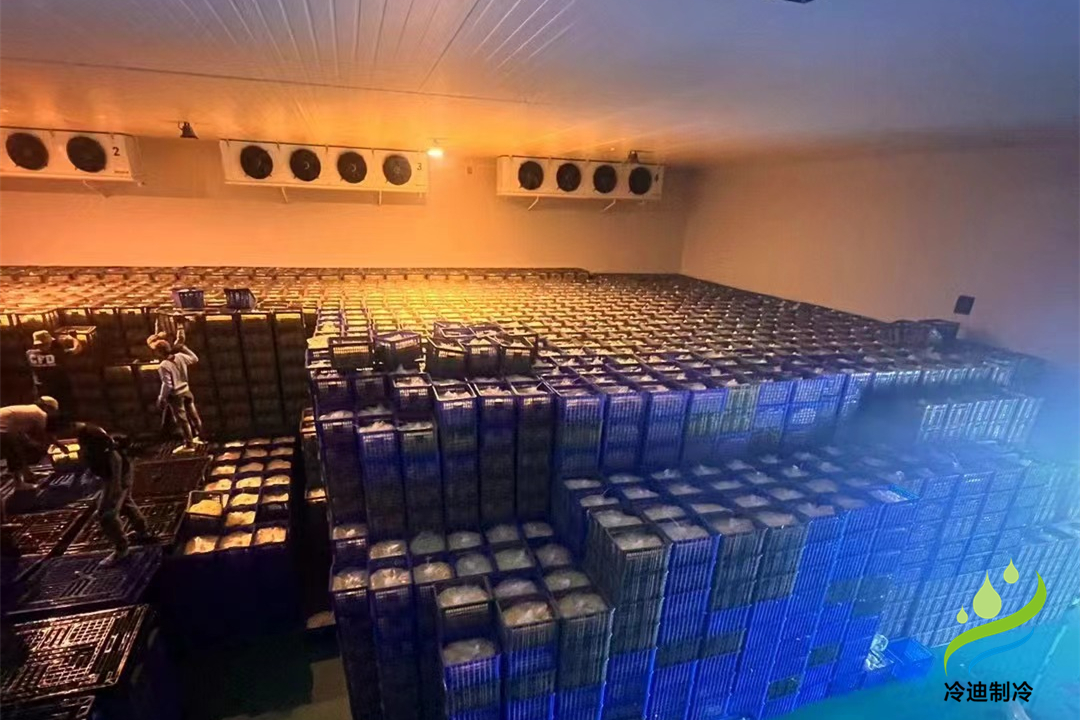 1000立方冷庫可以存多少噸？用多大制冷設備？