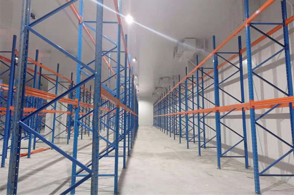 建造一個櫻桃保鮮冷庫多少錢？(圖2)