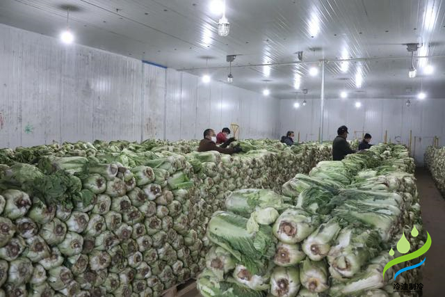 500平方保鮮冷庫建造費用明細(圖2)